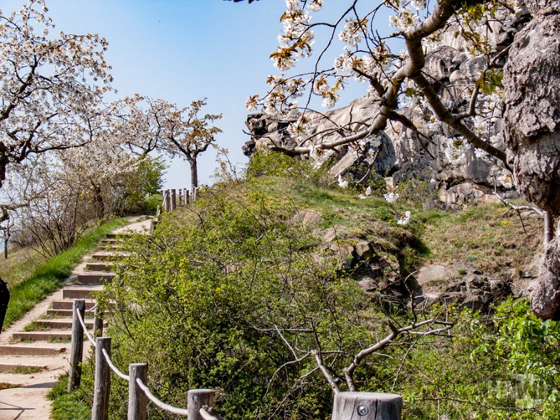 teufelsmauer-blankenburg_14.jpg