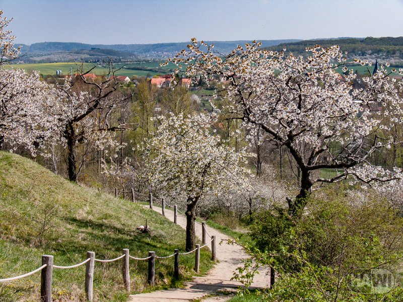 teufelsmauer-blankenburg_15.jpg