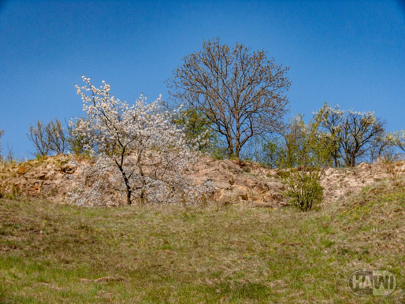 teufelsmauer-blankenburg_17.jpg