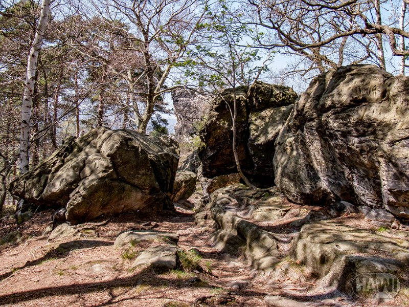 teufelsmauer-blankenburg_39.jpg