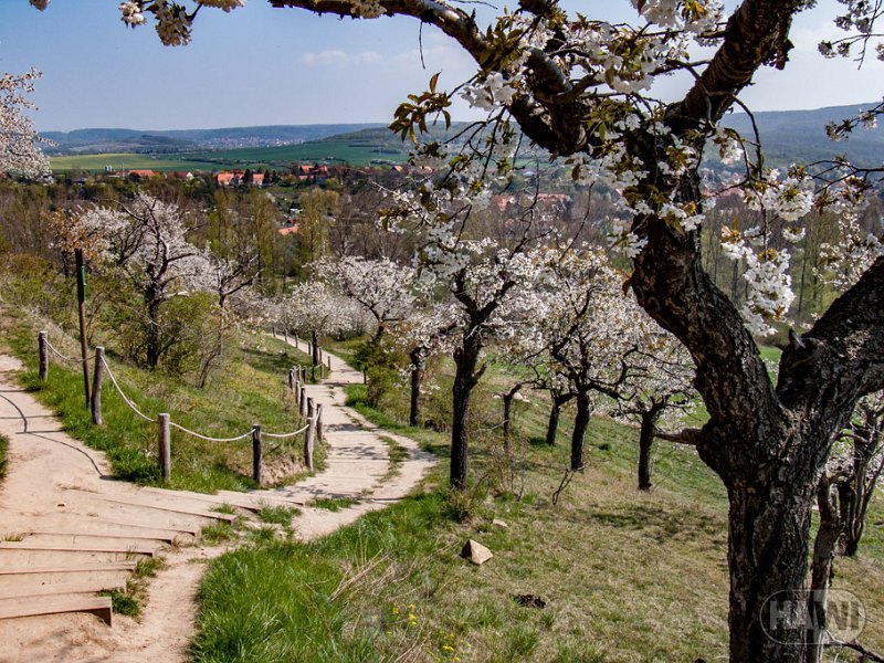 teufelsmauer-blankenburg_5.jpg