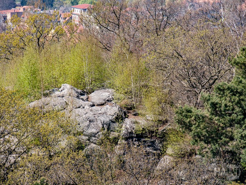 teufelsmauer-blankenburg_56.jpg