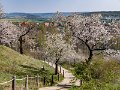 teufelsmauer-blankenburg_15