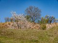 teufelsmauer-blankenburg_17