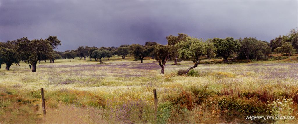 alentejo